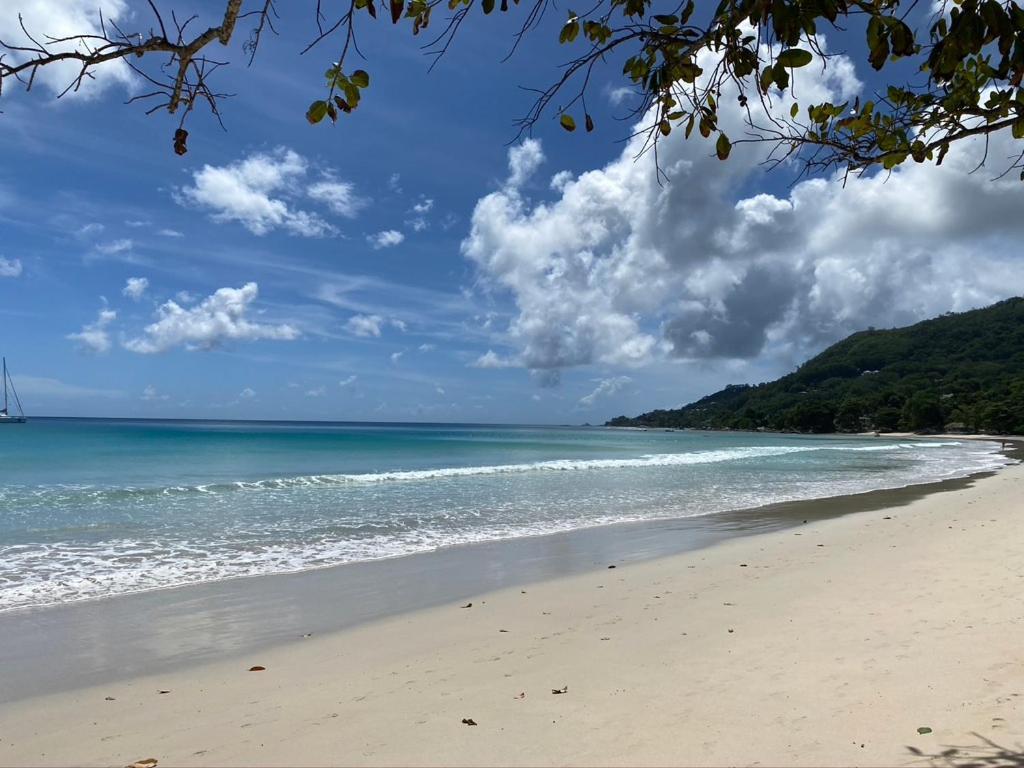 Apartamento Beau Bamboo Beau Vallon  Exterior foto
